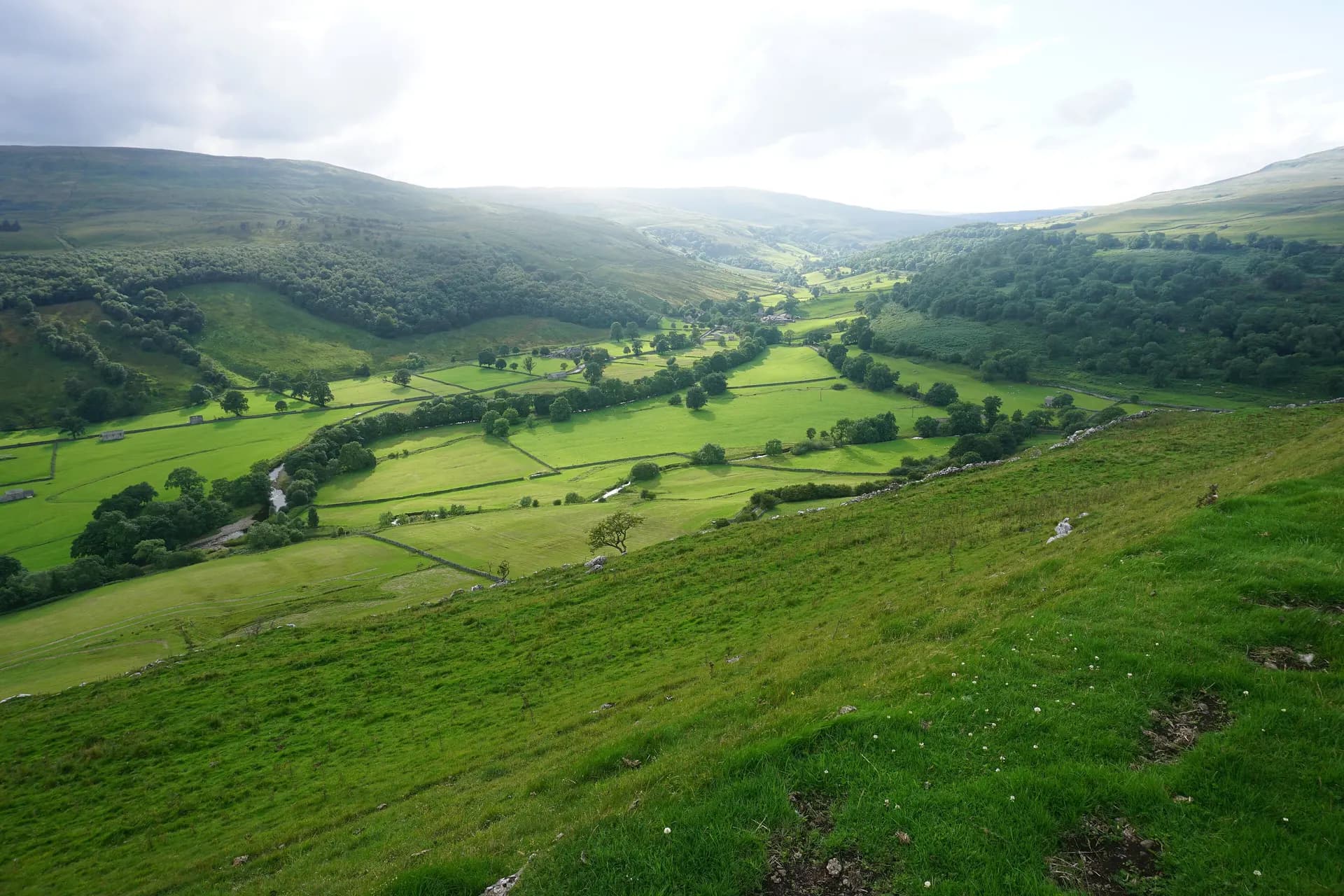 Upper Wharfedale: green, wall-lined fields winding between the fells