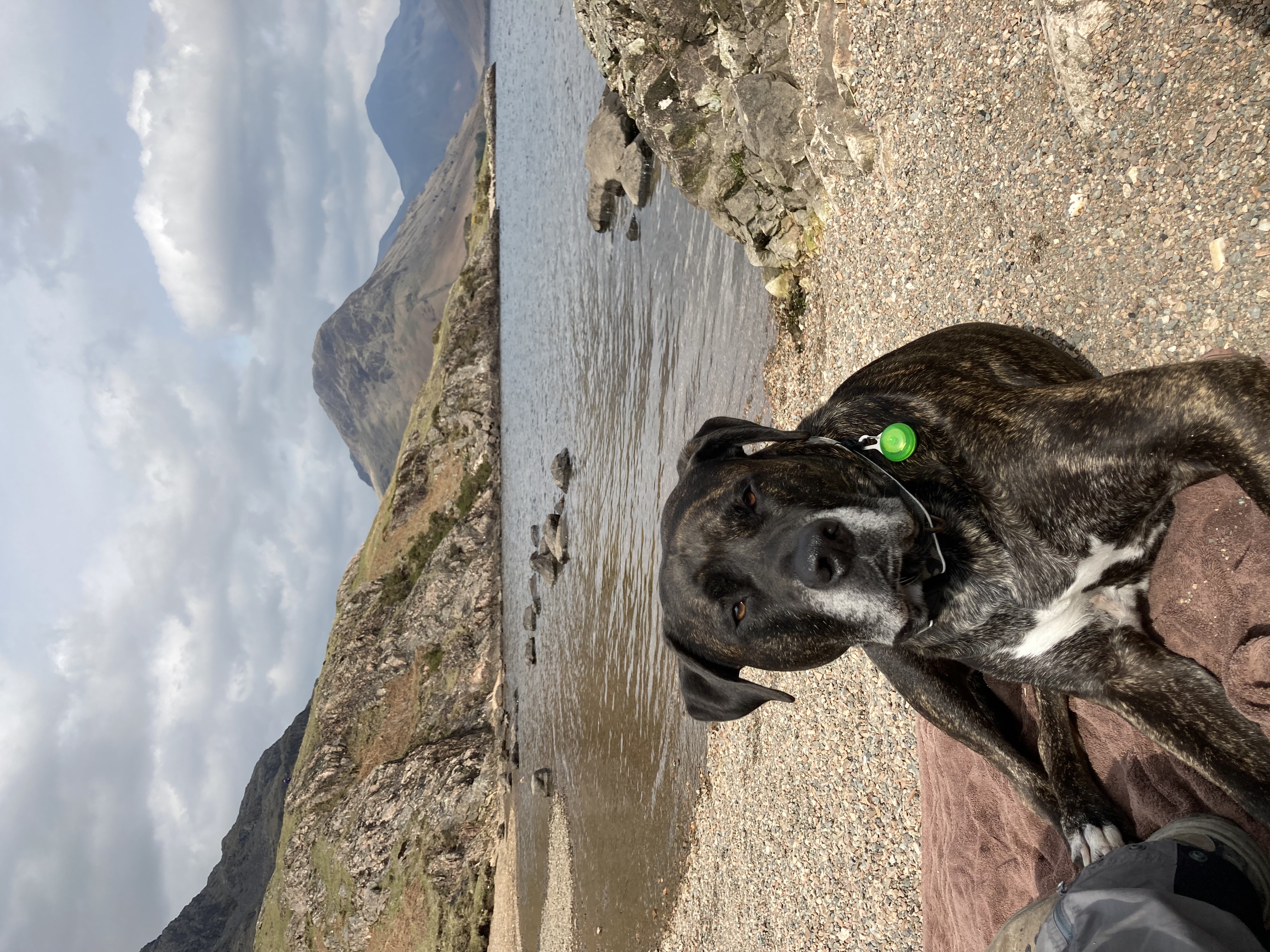 Hugo in Lake District